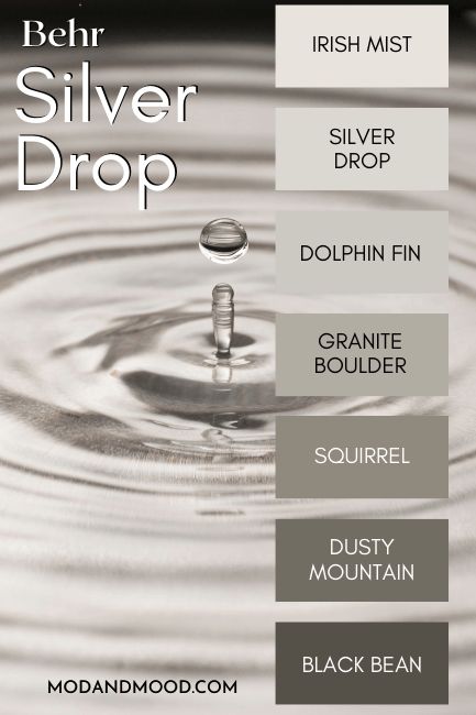 Behr Silver Drop Will Keep You Guessing! (Complete Review & Dupes) - Mod & Mood Silver Drop Behr Paint, Behr Irish Mist, Behr Silver Drop, Value Painting, Darkest Black Color, Yellow Paint Colors, Behr Colors, Greige Paint Colors, Warm And Cool Colors