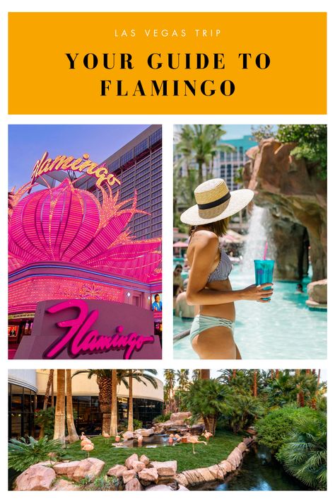 Vegas Flamingo Hotel, Vegas Hotel Aesthetic, The Flamingo Las Vegas, Flamingo Vegas, Best Pools In Vegas, Vegas Hotels Strip, Flamingo Hotel Las Vegas, Best Hotels In Vegas, Best Las Vegas Hotels