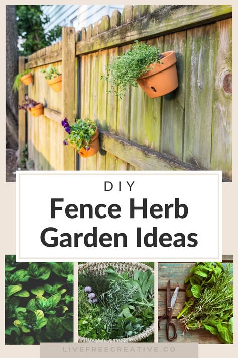 Fence Herb Garden, Herb Garden Ideas, Easy Fence, Outdoor Herb Garden, Fence Planters, Hanging Herbs, Types Of Herbs, Vertical Herb Garden, Herb Gardening