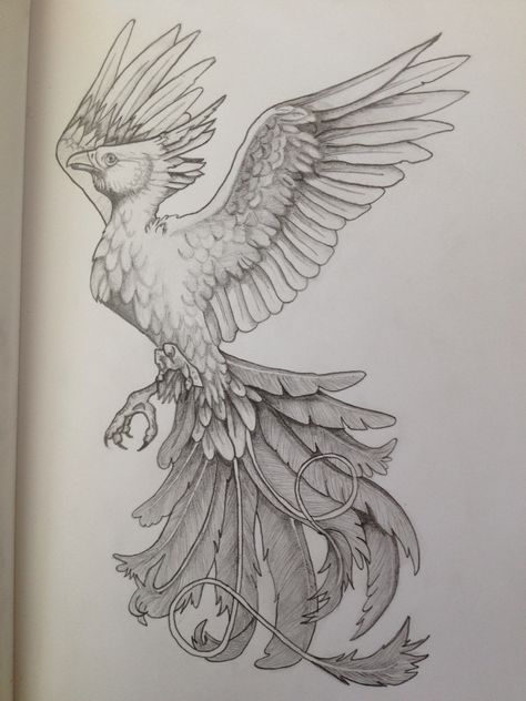 Phoenix Harry Potter Phoenix Drawing, Phoenix Art Drawing, Phoenix Bird Drawing, Harry Potter Drawing, Bird Tattoo Sleeves, Bird Tattoos Arm, Phoenix Harry Potter, Red Bird Tattoos, Black Bird Tattoo