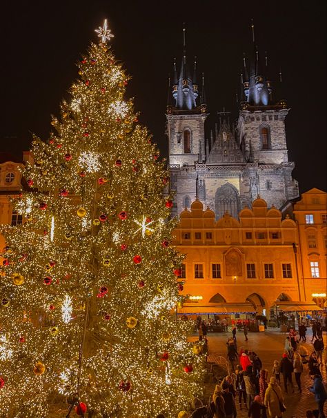 Best European Cities To Visit, Prague Christmas Market, European Cities To Visit, Europe In December, Budapest Christmas, Prague Winter, Prague Christmas, Vienna Christmas, Visit Prague