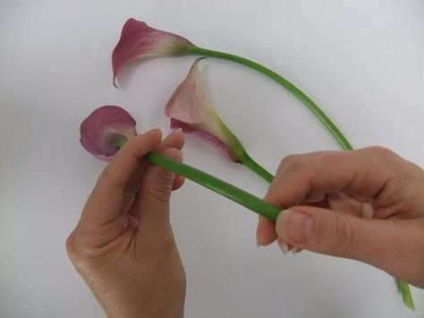 Let the Calla lilies rest out of water for about 30 minutes to slightly dehydrate. Gently message the stem to curve Gold Flower Arrangements, Florist Tutorial, Arum Lilly, Floral Recipes, Diy Wedding Magazine, Floristry Techniques, Cala Lilies, Terrarium Bonsai, Floral Mechanics