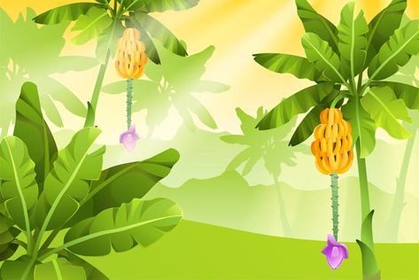 Banners with banana trees. | Premium Vector #Freepik #vector #tree #wood #leaf #nature Banana Tree Background, Banana Background, Child Draw, Banana Trees, Packaging Snack, Wood Leaf, Tree Clipart, Banana Tree, Food Packaging Design