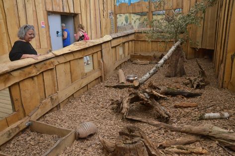 Reptile House Zoos, Crocodile Enclosure, Zoo Habitats, Zoo Enclosures, Monkey Habitat, Reptile Store, Zoo Boo, Zoo Inspiration, Zoo Design