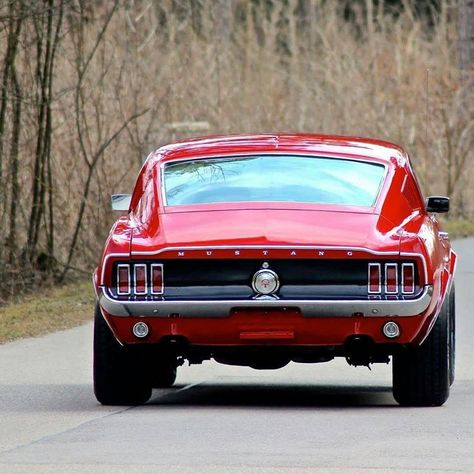 Old Mustang, 68 Mustang Fastback, 240z Datsun, Mustang 67, 68 Mustang, Mustang 1967, Ford Mustang 1967, Ford Mustang Classic, Red Mustang