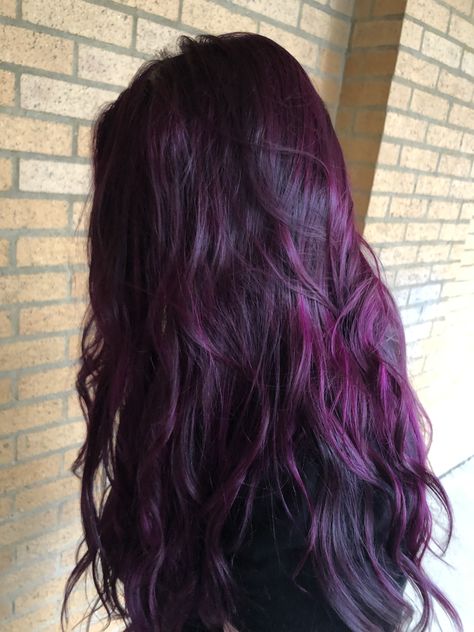 Violet Hair Ideas, Purple Tinted Hair Brown, Hair Highlights Different Colors, Grape Violet Hair Color, Midnight Violet Hair, Burgundy Hair Plum Purple, Maroon Purple Hair, Dark Purple Black Hair, Eggplant Hair Color Dark