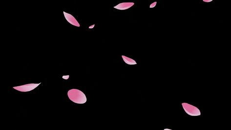 Pink Discord Banner Animated, Dark Pink Aesthetic Gif, Dark Pink Banner Gif, Sakura Banner, Pink Gif Banner, Pink Banner Gif, Light Overlay, Pink Jellyfish, Amagi Brilliant Park