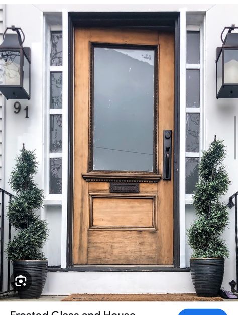 Front Door Top Window, Antique Farmhouse Front Door, Front Door Antique, Historic Front Doors, Antique Front Door Entrance, Dark Academia Front Door, Vintage Exterior Doors, Antique Wood Front Door, Antique Entry Door