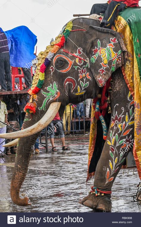 Download this stock image: Decorated elephants at Mysore Dussehra celebration or Dasara festival procession at the Mysore palace of Indian Maharaja or king in Karnataka India - RBK908 from Alamy's library of millions of high resolution stock photos, illustrations and vectors. Mysore Dasara Video, Mysore Dasara Images, Dasara Drawing, Kannada Rajyotsava Images Flag, Mysore Dasara, Velvet Blouse Design, Dussehra Celebration, Mysore Palace, Celebration Images