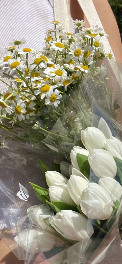 #tulips #daisies #daisy #traderjoes #farmersmarket #sundaymarket #easternmarket #dc #freshflowers #flowersatthemarket Daisy And Tulips, Tulips And Daisies, Fav Flower, Daisy Bouquet, Coffee Shop Aesthetic, Shop Aesthetic, White Pictures, Book Flowers, White Tulips