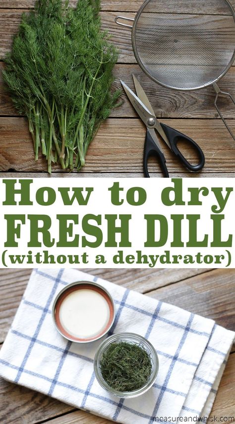 Preserve Fresh Herbs, Drying Fresh Herbs, Dill Recipes, Preserving Herbs, Herb Recipes, Drying Dill, Garden Recipes, Spices And Herbs, Dehydrator Recipes