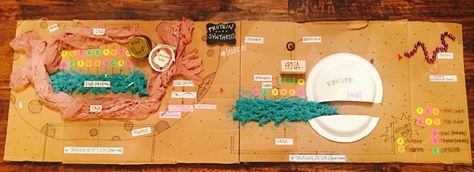 Protein Synthesis Model- Transcription + Translation Polypeptide Synthesis Model, Protein Synthesis Model, Translation Biology, Biology Model, School Projects Ideas, Biology Poster, High School Project, Biology Projects, Transcription And Translation