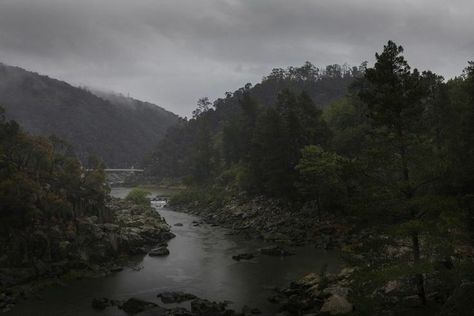 Overcast Aesthetic, Green Academia, Gloomy Weather, Forest Aesthetic, Dark Green Aesthetic, Dark Paradise, Misty Forest, Sound Of Rain, Weird Dreams