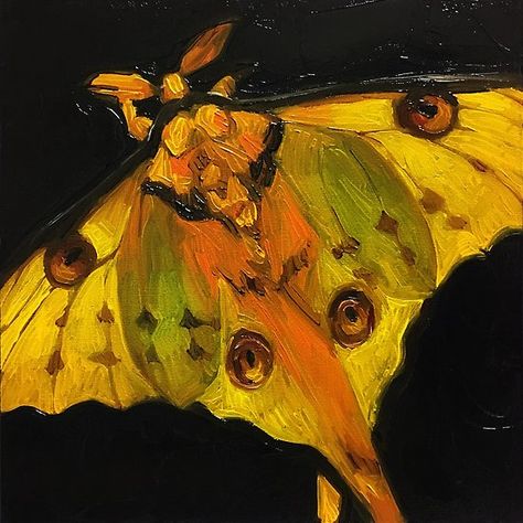 Comet Moth, Moth Artwork, Moth Sticker, Moth Drawing, Moth Art, Beautiful Bugs, Vertical Poster, Insect Art, Aesthetic Painting