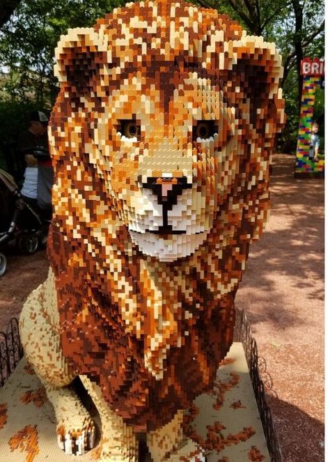 Lego Challenge, Big Lego, Lego Sculptures, Lego Display, Lego Animals, Amazing Lego Creations, Lego Craft, Lego Creative, Lego Pictures