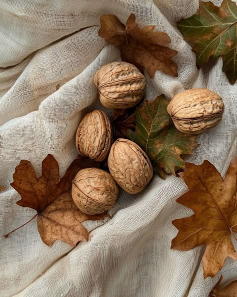 ᴛʜᴇ ʙᴏᴜᴊᴇᴇ (@theboujee.hr) • Fotografije i videozapisi na Instagramu Autumn Aesthetic Photography, Health Benefits Of Walnuts, We Heart It Wallpaper, Hygge Autumn, Fall Photography Nature, Candle Aesthetic, Fall Mood, Autumn Nature, Art Dolls Handmade