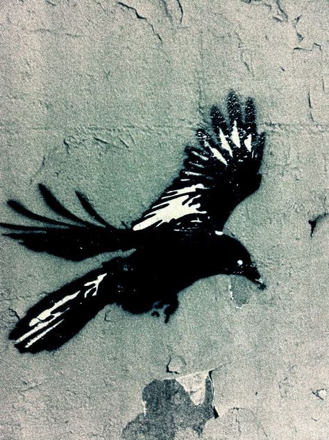 bird graffiti in Paris. Bird Graffiti Art, Raven Stencil, Bird Graffiti, Bird Street Art, Black Crow Tattoos, House Of Wolves, Stencil Street Art, Sparrow Art, Beer Art