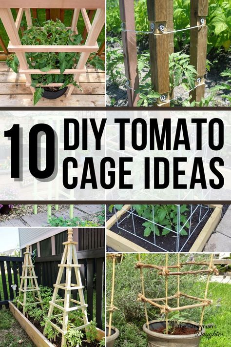 Tomato Cage Ideas, Diy Tomato Cage, Vegetable Trellis, Tomato Trellis, Tomato Cages, Garden Veggies, Tomato Garden, Creative Gardening, Growing Tomatoes