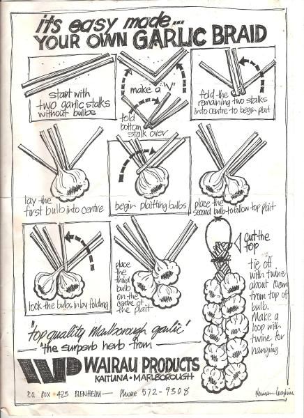 Garlic Braiding, Braiding Garlic, Types Of Garlic, Harvest Garlic, Store Garlic, Garden Veggies, Garden Harvest, Veg Garden, Home Vegetable Garden