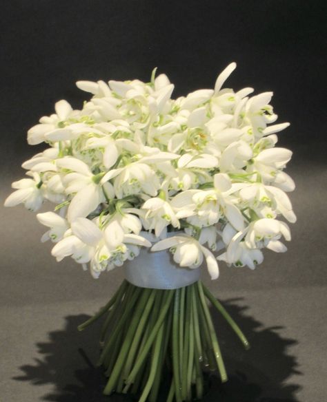 Snowdrop bouquet for a spring wedding Snow Drop Bouquet, Snowdrop Boutonniere, Snowdrop Wedding Bouquet, Snowdrop Flower Bouquets, Carnation And Snowdrop Flower, Snowdrop Bouquet, Carnation And Snowdrop, Snowdrops Aesthetic, Snowdrop Flower