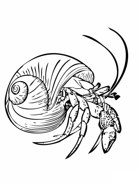 Hermit Crab Coloring Page Halloween Crab, Crab Tattoo, Crab Art, Free Kids Coloring Pages, Free Coloring Sheets, Hermit Crab, Free Printable Coloring, Animal Coloring Pages, Free Printable Coloring Pages