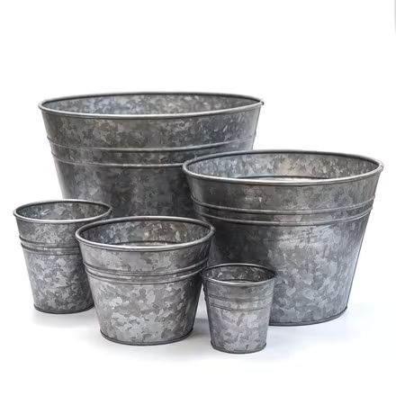 Buy galvanised: Delivery by Waitrose Garden Galvanized Flower Buckets, Tin Planters, Galvanized Tray, Galvanized Planters, Bucket Planters, Galvanized Buckets, Galvanized Tub, Hanging Planters Indoor, Wash Tubs