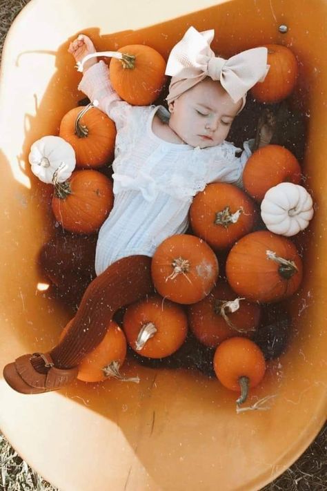 Baby Pumpkin Patch Photoshoot, Infant Pumpkin Patch Pictures, Newborn Pumpkin Patch Pictures, Pumpkin Patch Photoshoot Baby, Pumpkin Farm Pictures, Baby Pumpkin Patch Pictures, Pumpkin Patch Pictures Baby, Baby Pumpkin Patch Outfit, Pumpkin Farm Outfit