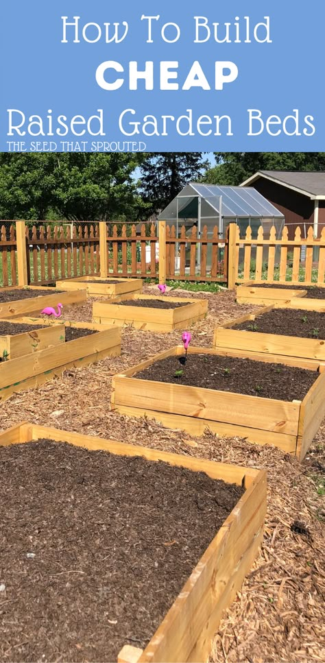 Cheap Raised Garden Beds, Backyard Raised Garden, Raised Garden Beds Diy Vegetables, Garden Bed Layout, Raised Garden Bed Plans, Raised Gardens, Garden Raised Beds, Raised Vegetable Gardens, Garden Beds Diy