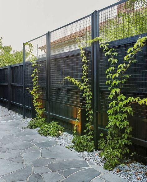 Fence Extension Ideas, Garden Fence Decoration, Wall Extension, Sage House, Black Fence, Beautiful Home Gardens, Privacy Fence Designs, Building A Pergola, Pergola Design