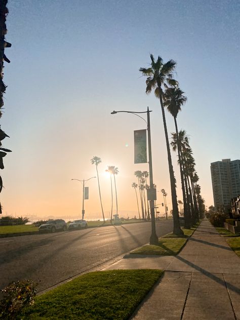 Long Beach Aesthetic, Southern California Aesthetic, Longbeach California, Sunsets Beach, Torrance California, Background References, Beach Palm Trees, Beach Tan, Los Angeles Beaches