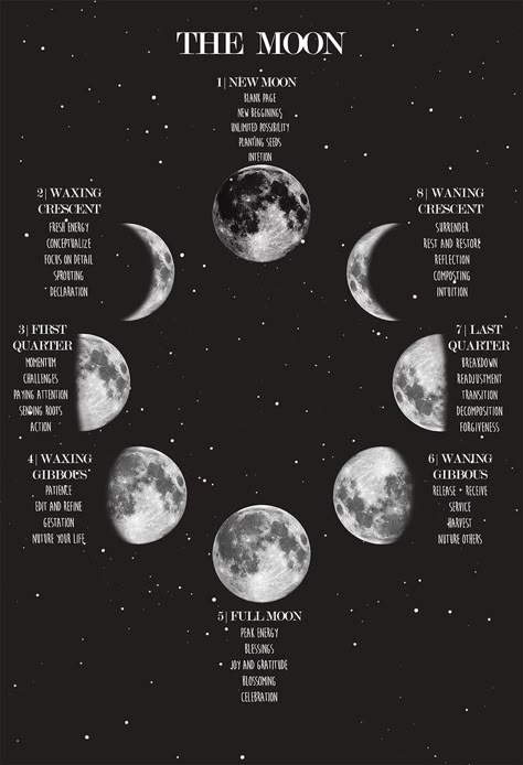 Moon Phase Poster, The Phases Of The Moon, Moon Rituals, Lunar Phases, Moon Reading, طابع بريدي, New Moon Rituals, Lunar Phase, Moon Moon