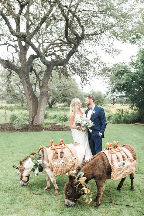 Animals At Weddings, Cookie Cake Wedding, Donkey Wedding, Beer Burro, Mini Donkeys, Country Wedding Photos, Mini Donkey, Miniature Donkey, Beer Wedding