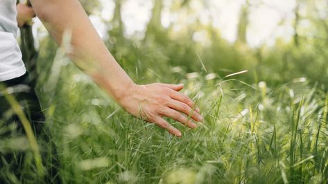 Staring at your phone for hours on end? Go outside and touch grass. Natural Antihistamine, Seasonal Allergy Symptoms, Fever Symptoms, Allergy Shots, Delete Instagram, Allergic Rhinitis, Allergy Remedies, Itchy Eyes, Psychological Well Being