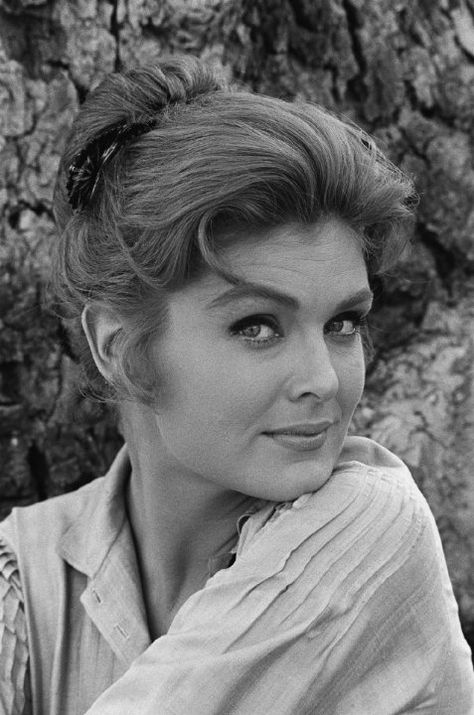 Still of Patricia Blair 1964 Rebecca Boone, Patricia Blair, Fess Parker, John Carradine, The Rifleman, Daniel Boone, Tv Westerns, Retro Beauty, The Virginian