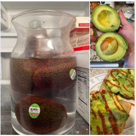 Avocado Storage, Avocado Hacks, How To Store Avocado, How To Cut Avocado, Prevent Food Waste, Fruit And Vegetable Storage, Fresh Avocado, Ripe Avocado, Recipes For Beginners