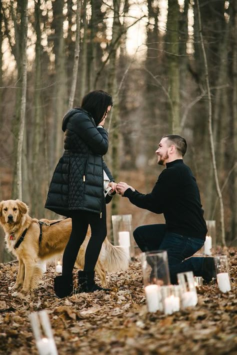 Proposal In The Woods, Woodland Proposal, Dog Proposal Ideas, Proposal Ideas With Dogs, Proposal With Dog, Woods Proposal, Candlelight Proposal, Dog Proposal, Surprise Proposal Pictures