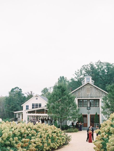 Virginia Beach Wedding Venues, Pippin Hill Wedding, Va Wedding Venues, Charlottesville Virginia Wedding, Wedding Venues In Virginia, Virginia Beach Wedding, Stunning Wedding Venues, Virginia Wedding Venues, Cheap Wedding Venues