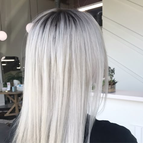 White Hair Blended Roots, Platinum Ice Blonde Hair Dark Roots, Platinum Hair Root Smudge, Black Shadow Root Platinum Blonde, Rooted Icy Blonde Hair, Icey Platinum Blonde Hair With Dark Roots, Platinum Blonde Hair On Dark Hair, White Blonde Balayage Short Hair, Platinum Blonde Hair With Root Shadow