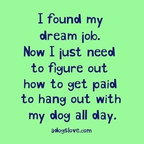 My Dream Job, 10 Funniest, 10th Quotes, Funny Thoughts, Dog Mama, Nikko, Animal Quotes, Dog Quotes, Must Read