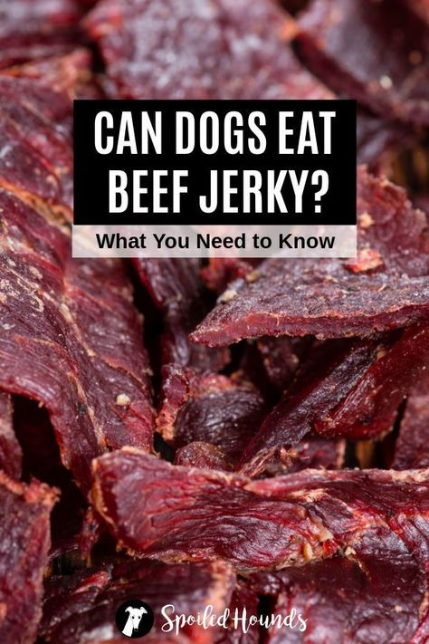 Jerky For Dogs, Beef Jerky Sticks, Teriyaki Beef Jerky, Homemade Beef Jerky, Dogs Treats, Homemade Jerky, Beef Jerky Recipes, Chicken Jerky, Teriyaki Beef