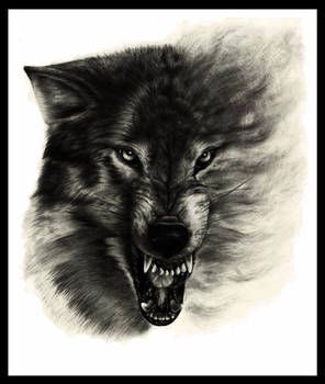 Wolf Face Tattoo, Wolf Tattoos For Women, Wolf Tattoos Men, Angry Wolf, Angry Animals, Wolf Tattoo Sleeve, Simple Tattoos For Guys, Wolf Face, Wolf Tattoo Design