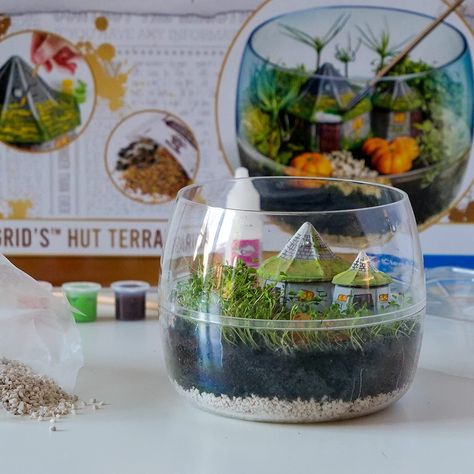 Clementoni 19248 Terrarium-Harry Potter Gift for Kids, Educational and Scientific Toys Children 7 Years Old-Made in Italy, Multicoloured : Amazon.co.uk: Toys & Games Harry Potter Terrarium, Plant Terrarium Ideas, Terrarium Base, Dinosaur Garden, Hagrids Hut, How To Make Crystals, Harry Potter Style, Harry Potter Merchandise, Plaster Of Paris