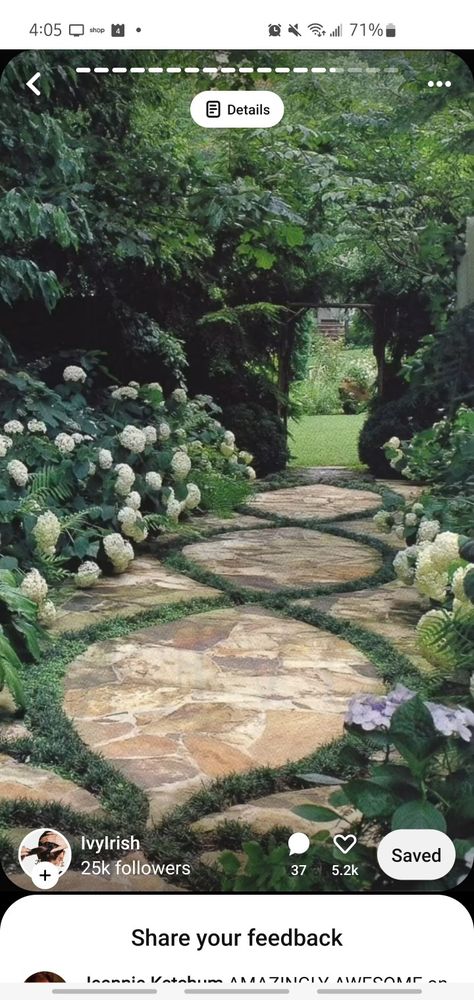 Funny Vine, Budget Garden, Stone Walkway, Garden Walkway, Stone Path, The Secret Garden, Garden Pathway, Side Yard, Garden Care