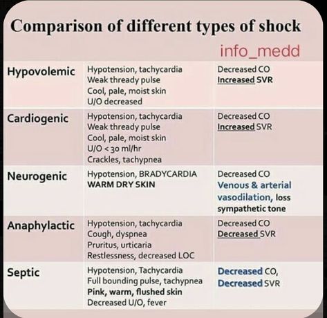 Types Of Shock, Nursing Cheat Sheet, Nursing Study Tips, Nursing 101, Nursing Cheat, Med Surg Nursing, Nursing School Essential, Nurse Study, Nurse Study Notes