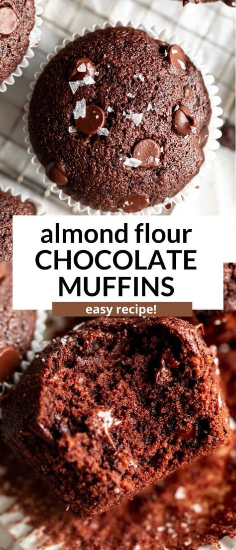 These gluten free chocolate muffins are easy to make, made with almond flour, oat flour and perfect for an easy snack. Recipes With Arrowroot Flour, Vegan Almond Flour Muffins, Gf Muffins, Gluten Free Chocolate Muffins Recipes, Almond Flour Chocolate Cupcakes, Chocolate Oat Flour Muffins, Oat Flour Vegan Muffins, Grain Free Chocolate Muffins, Gluten Free Chocolate Muffins