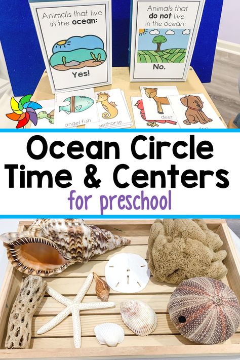 Many preschoolers are fascinated by the ocean. Here, you'll find ideas for ocean themed circle time, play centers, and small group activities. Ocean Science Center Preschool, Beach Circle Time Activities, Ocean Centers Preschool, Ocean Circle Time Activities Preschool, Preschool Sea Animals Activities, Preschool Under The Sea Activities, Ocean Dramatic Play Preschool, Ocean Preschool Theme, Ocean Preschool Activities