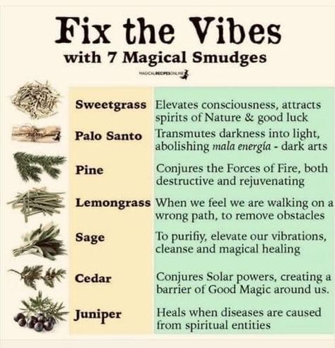 Smudging Prayer, Magickal Herbs, Witch Herbs, Green Witchcraft, Magia Das Ervas, Sage Smudging, Magic Herbs, Magical Herbs, Herbal Healing