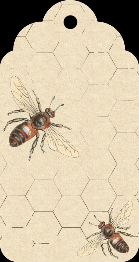 ephemera #paperie #printables #shabbychic #vintage #tag Bee Tags, Bee Printables, Bee Mine, Bee Crafts, Images Vintage, Bee Decor, Bee Art, Bee Happy, Bees Knees