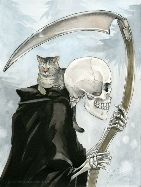 Terry Pratchett Discworld, Don't Fear The Reaper, Dark Circus, Human Eyes, Skeleton Art, Cat Wallpaper, Gothic Art, Grim Reaper, Cat Tattoo