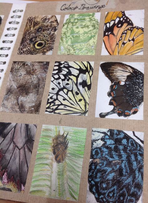 Observational studies using different materials,pencil ink water colour charcoal etc Fashion Design Ideas, Sketchbook Fashion, Textiles Sketchbook, Natural Form Art, Art Alevel, Gcse Art Sketchbook, A Level Art Sketchbook, Arte Grunge, Theme Nature